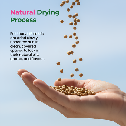 Khetika Coriander Powder