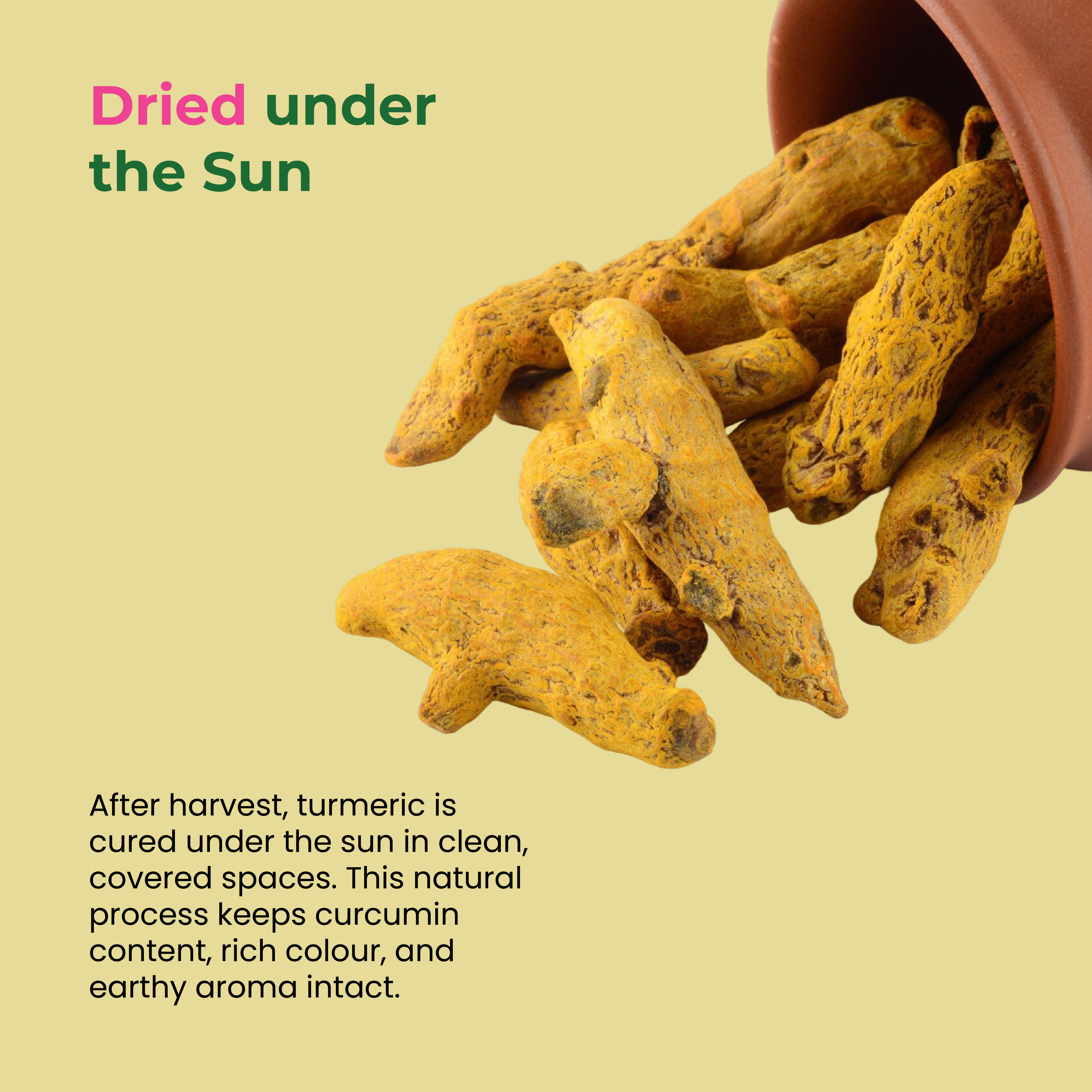 Khetika Turmeric Powder